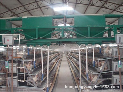 智能化籠養(yǎng)自動喂料機(jī) 提升養(yǎng)雞效率的關(guān)鍵設(shè)備
